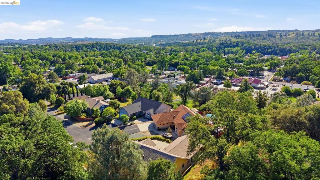Aerial perspective of suburban area with a forest and mountains