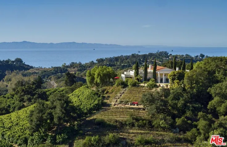 Vineyard and wine grotto