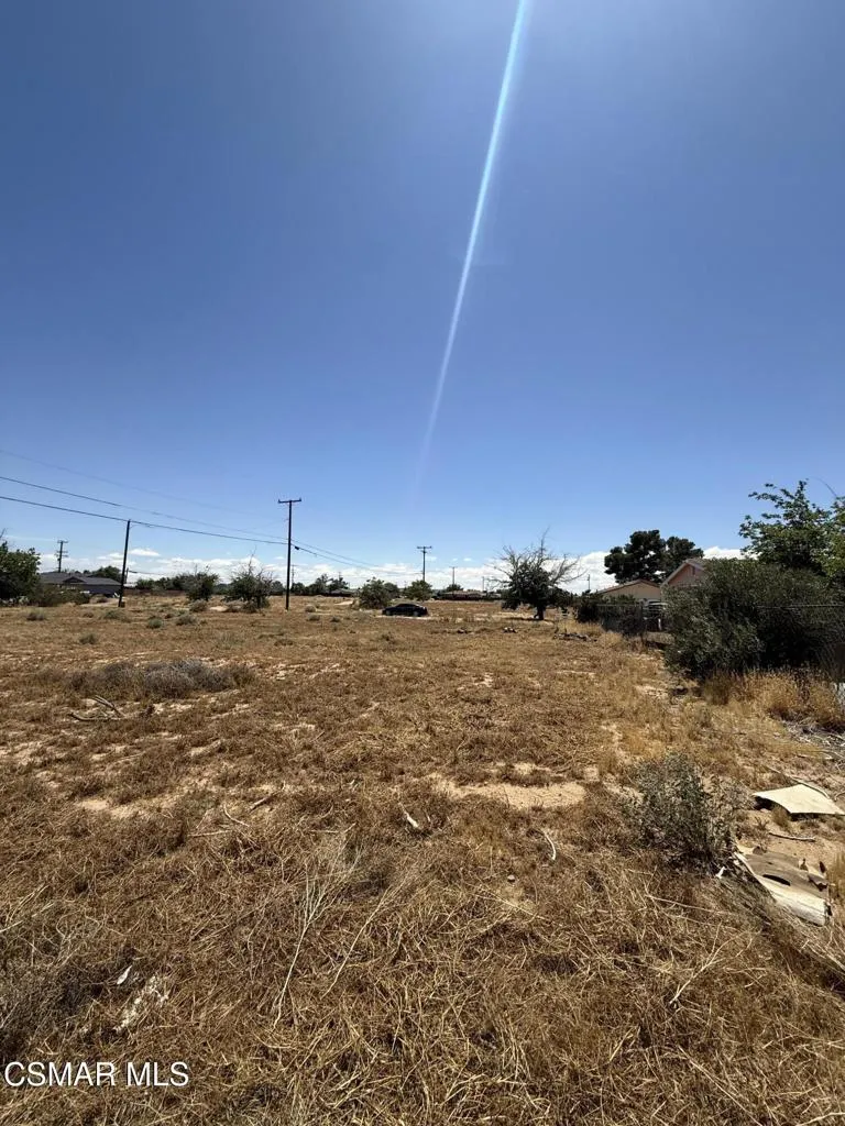 Back End Of The Lot - Street View