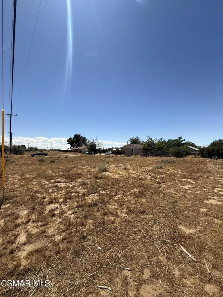 Back End Of The Lot - Street View