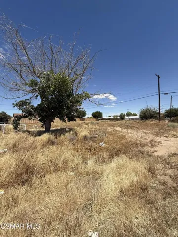 East Side View