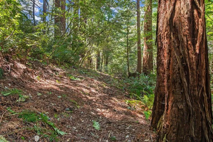0 Native Sons Road, Woodside, California 94062