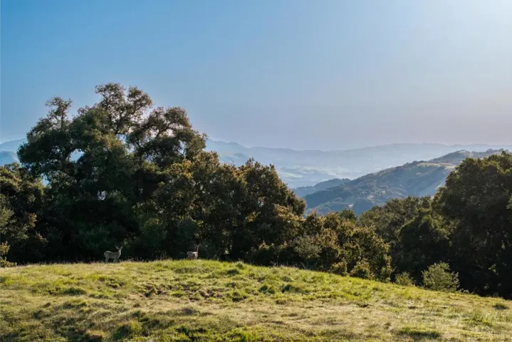 52 Chamisal Pass (lot 136), Carmel, California 93923