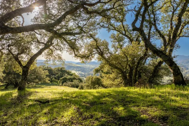 52 Chamisal Pass (lot 136), Carmel, California 93923