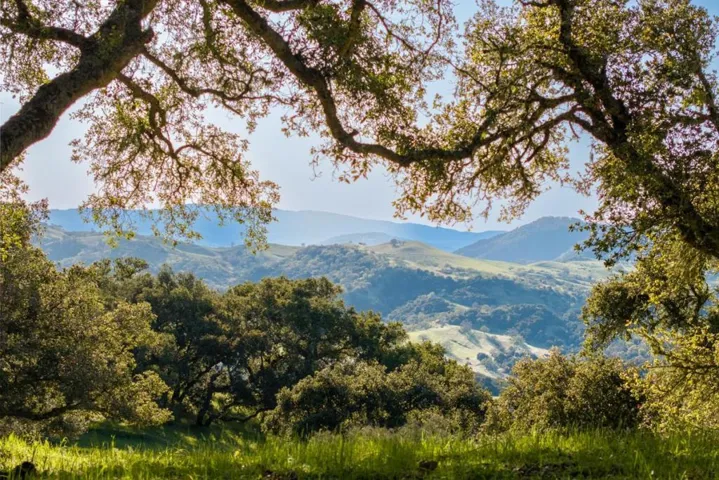 52 Chamisal Pass (lot 136), Carmel, California 93923