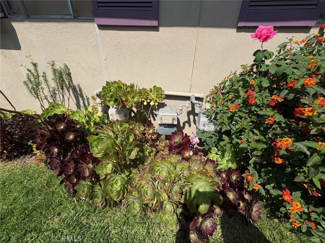1908 E Rose Avenue, Orange, California 92867