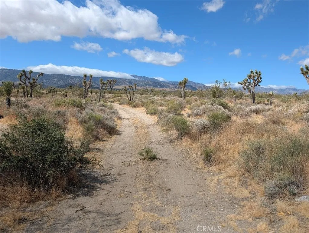 27 248th, Llano, California 93544 — photo 4