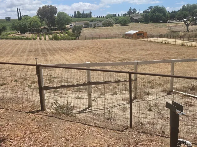 Fenced back pasture