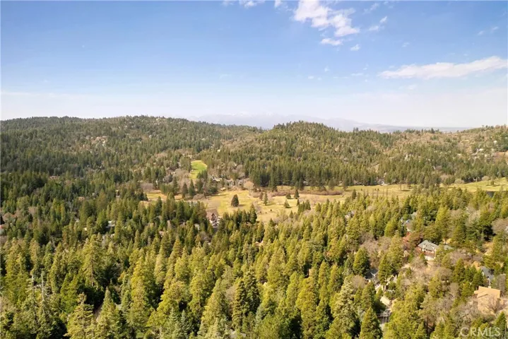 Go Hiking in the National Forest!
