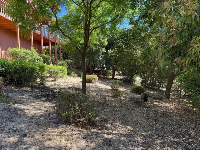 3175 Oak Leaf Court, Morgan Hill, California 95037