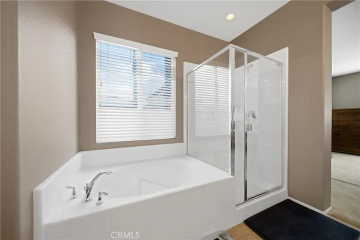 Master Bathtub & Walk-in Shower