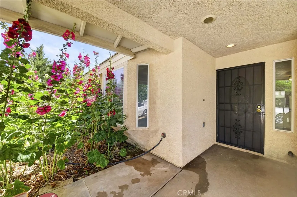 Front main door Entry