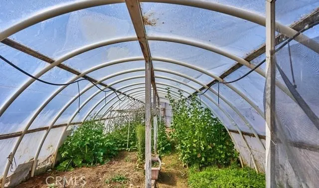 Green House.