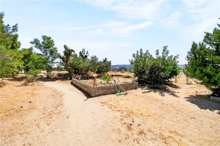 9562 Cambria Court, Phelan, California 92371