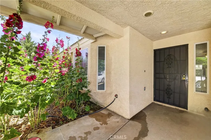 Front main door Entry