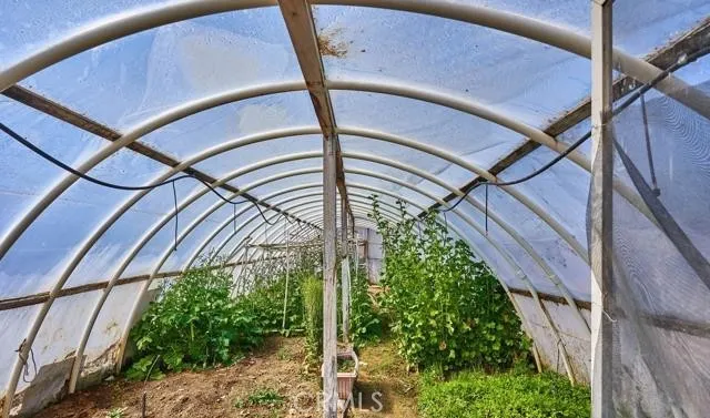 Green House.