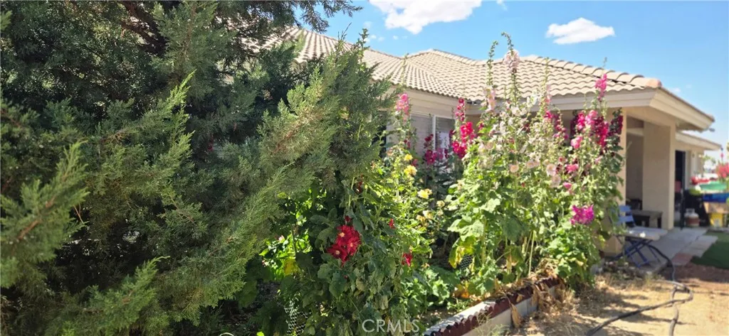 9562 Cambria Court, Phelan, California 92371