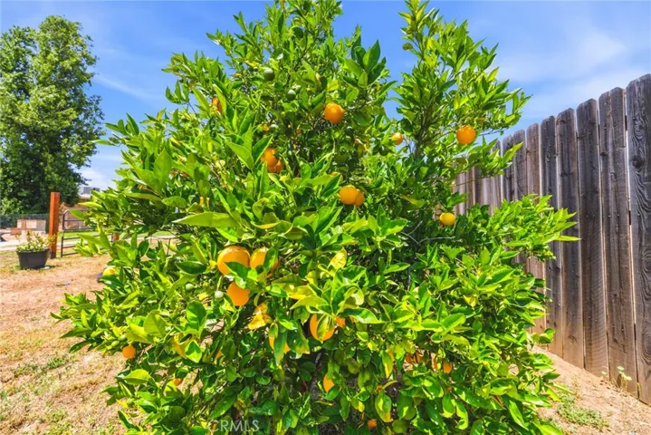 34863 Date, Yucaipa, California 92399
