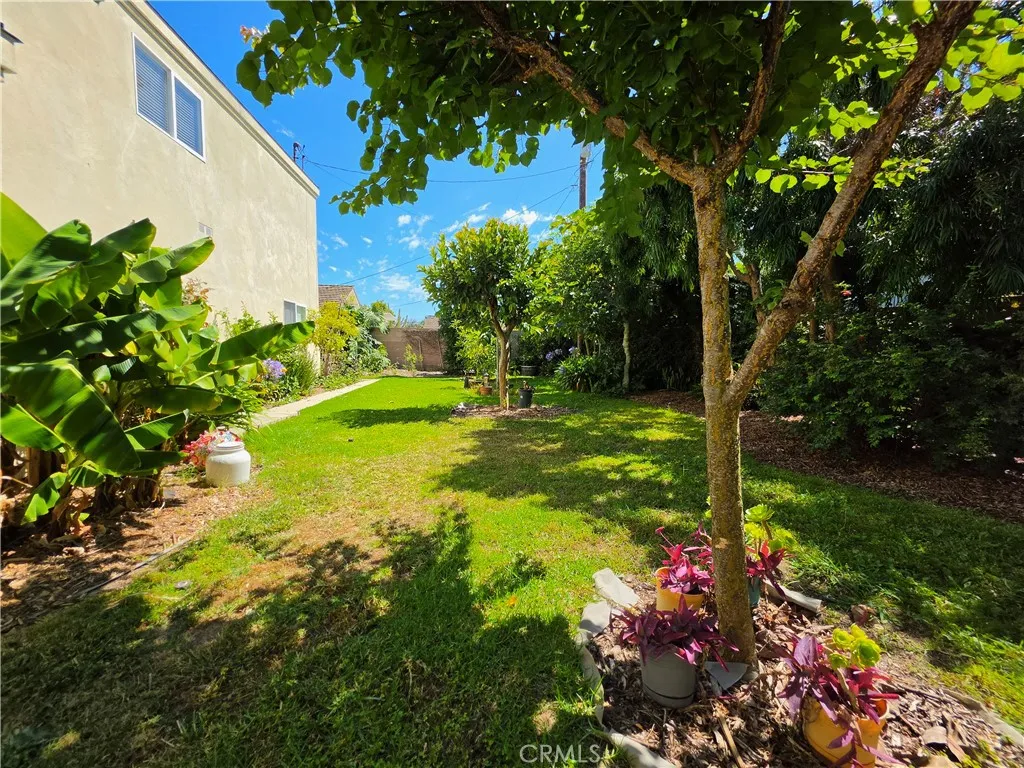 View across the yard