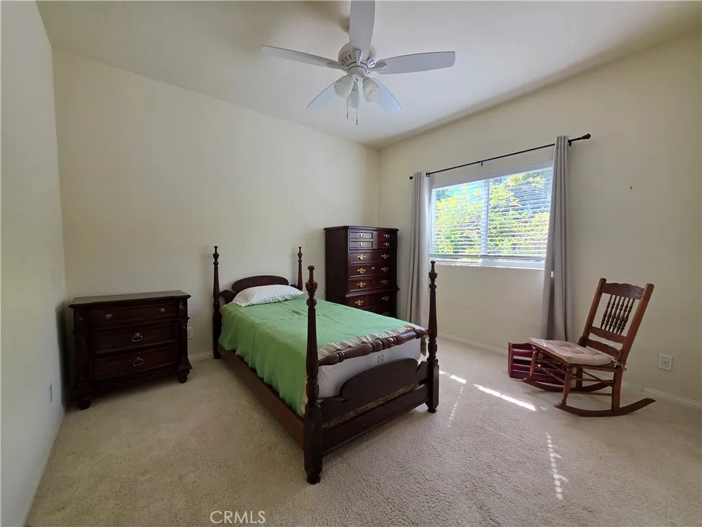 Main level rear bedroom with 9' ceilings and wall-to-wall closet
