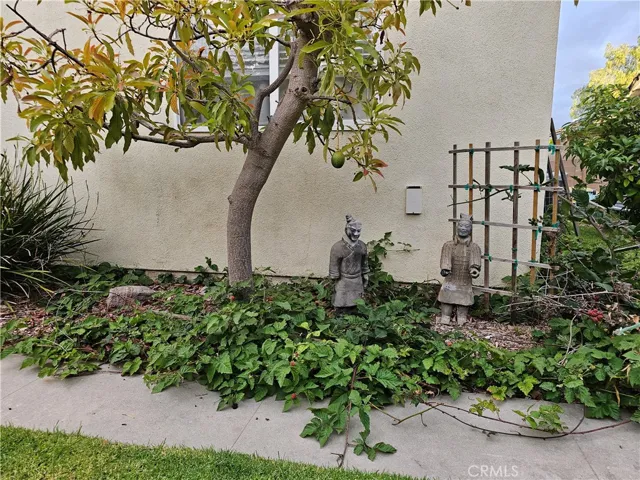 Blackberries and Avocado Tree
