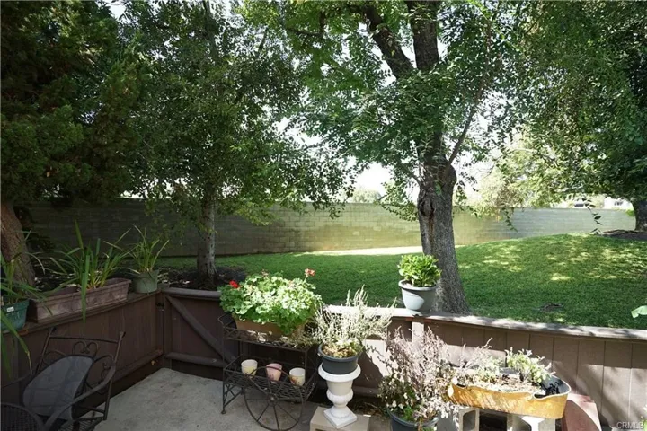 Backyard Patio