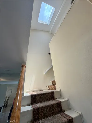 Skylight