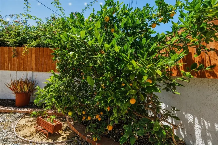 309 S Prospect Avenue, Redondo Beach, California 90277