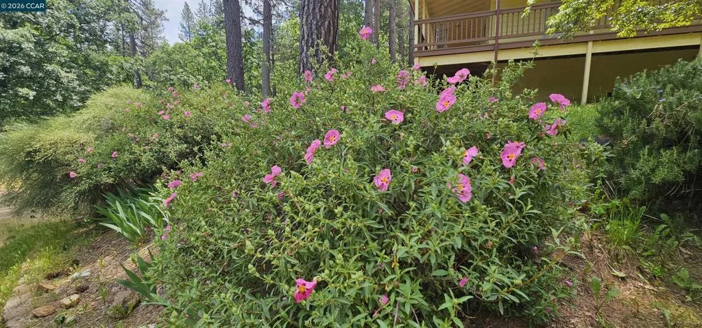2996 Liberty Hill Rd, Rail Road Flat, California 95248