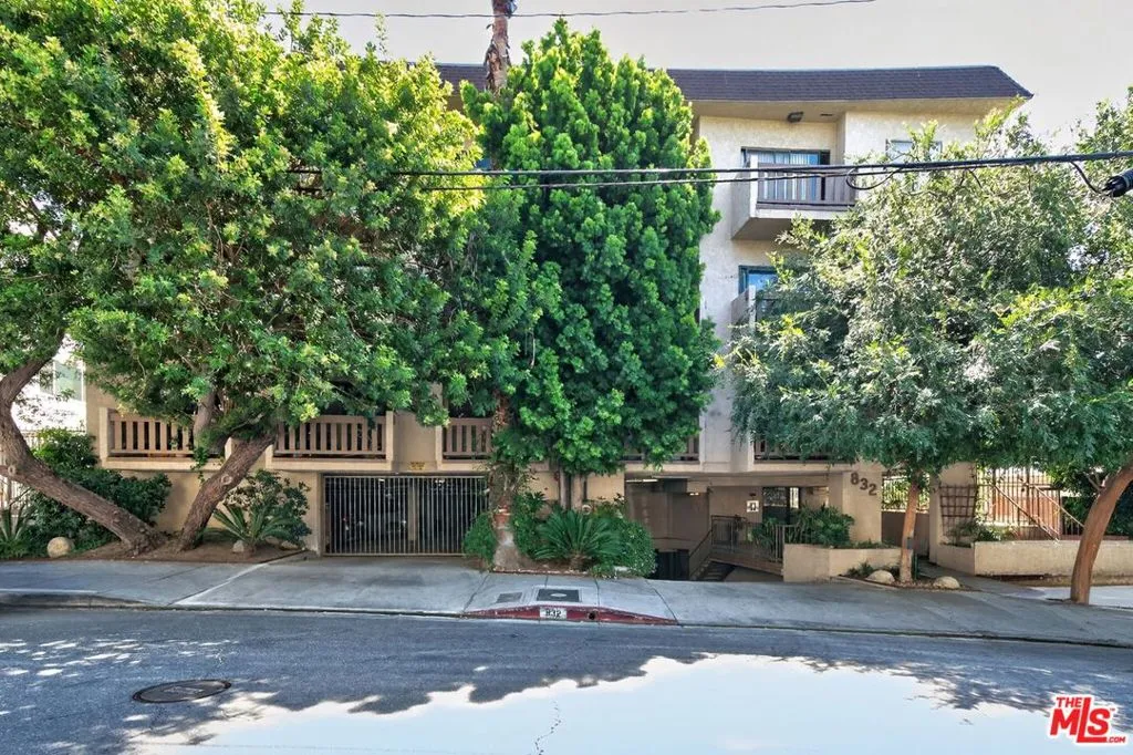 Palm Ave Street View