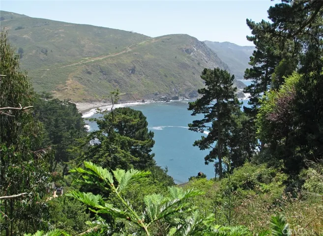 View of Cove from main house site