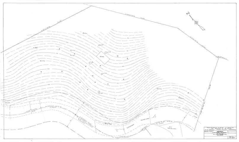 Topo from Anrig-Doyle survey 1989
