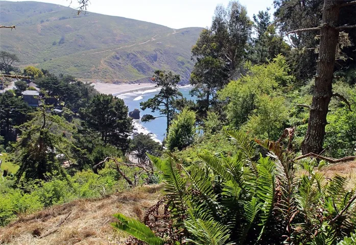 View to cove from main building site
