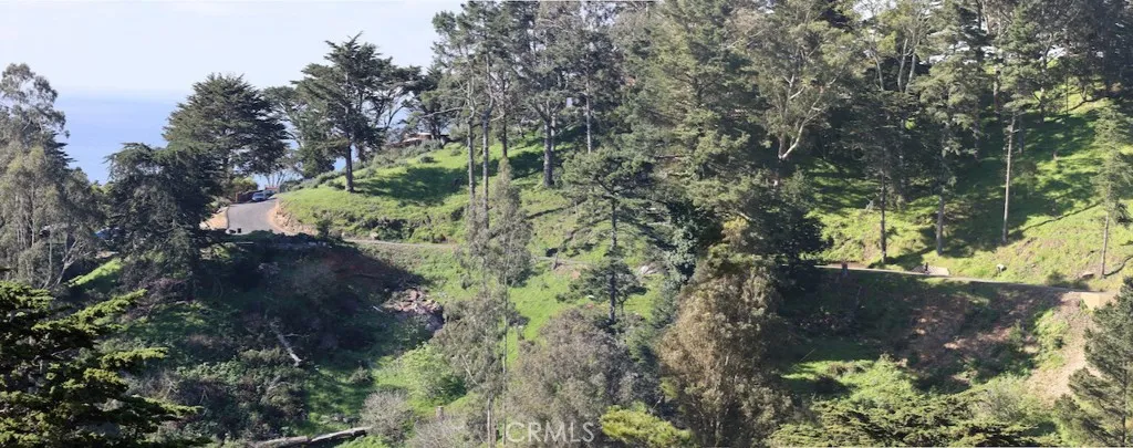 Overview of Lot
