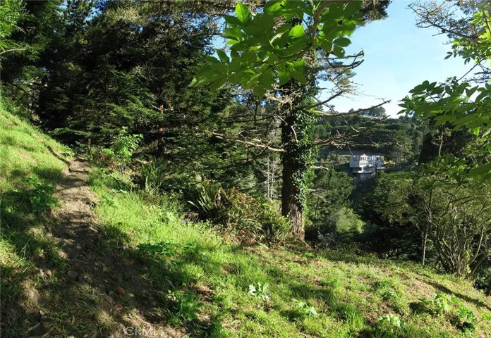 Main house building site
