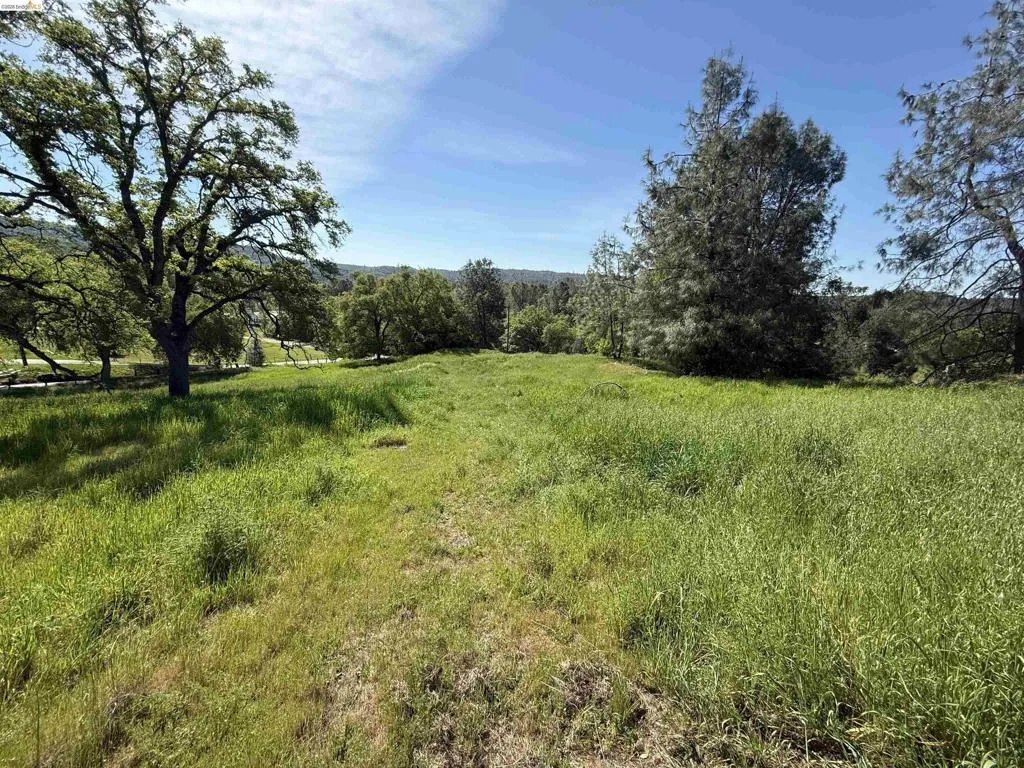 8534 Wilcox Ranch Road, Sonora, California 95370 — photo 5