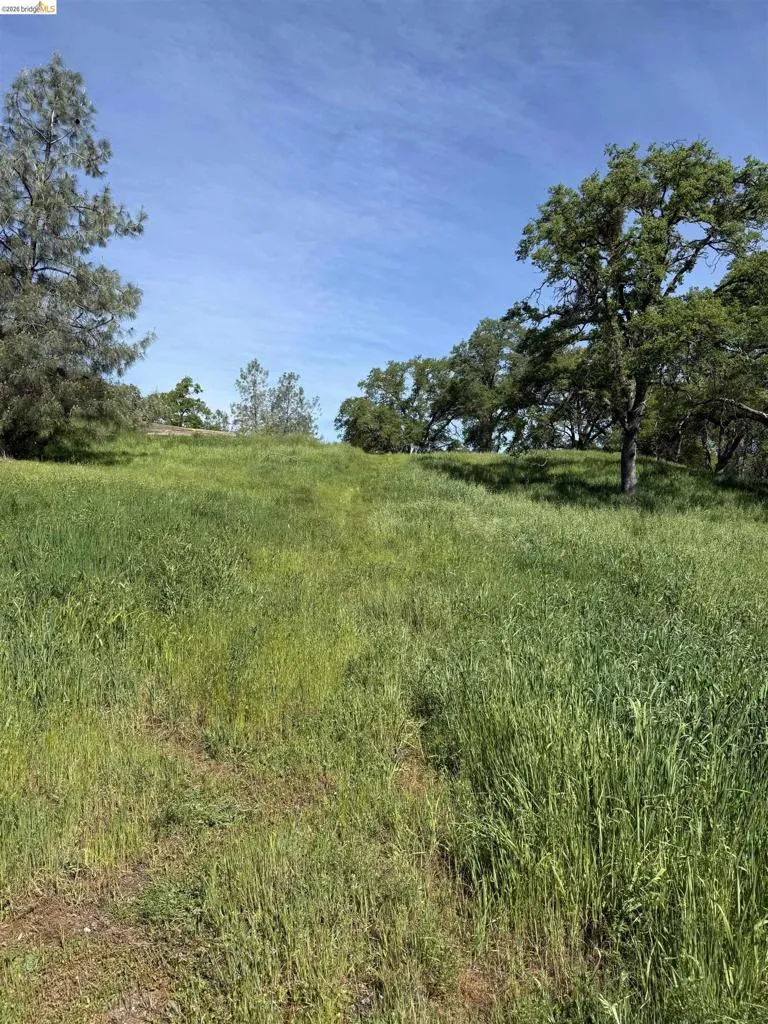 8534 Wilcox Ranch Road, Sonora, California 95370 — photo 4