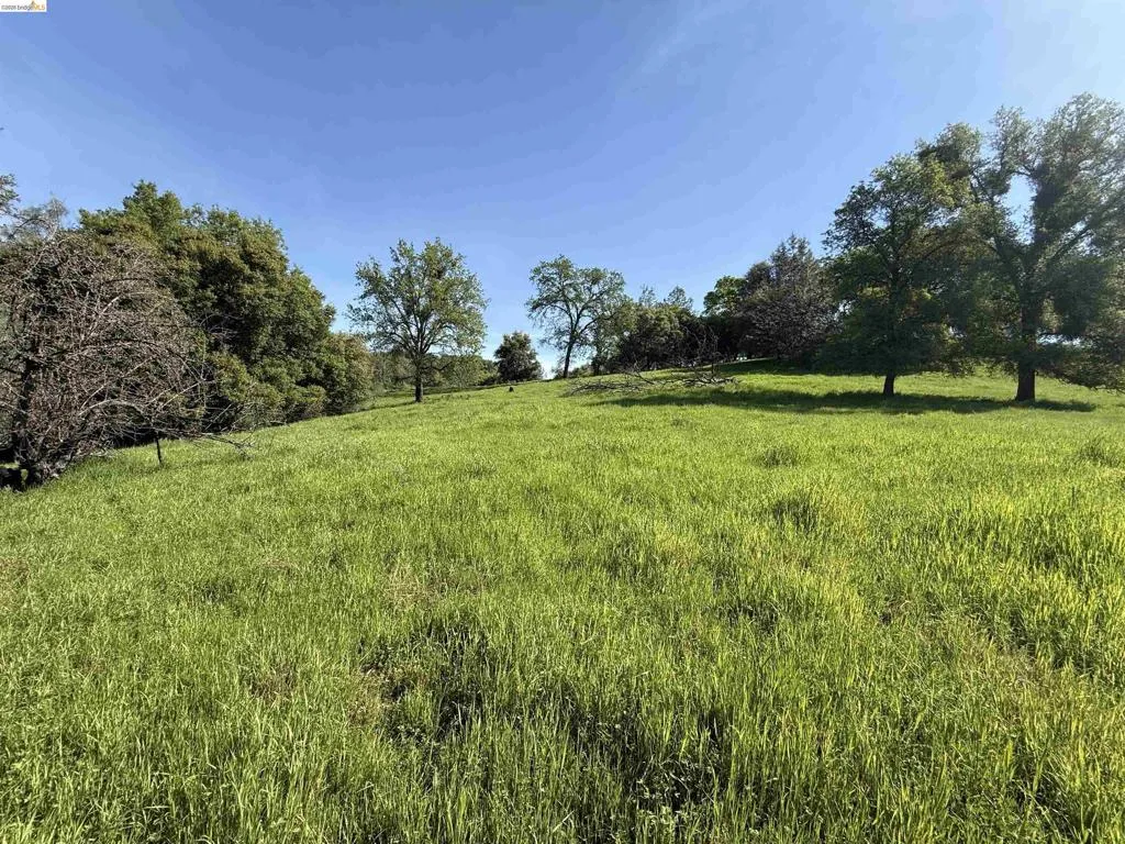 8534 Wilcox Ranch Rd
