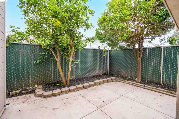 Paved patio area featuring two mature citrus trees, decorative stone edging, and a privacy fence