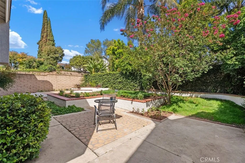 Extra-large backyard