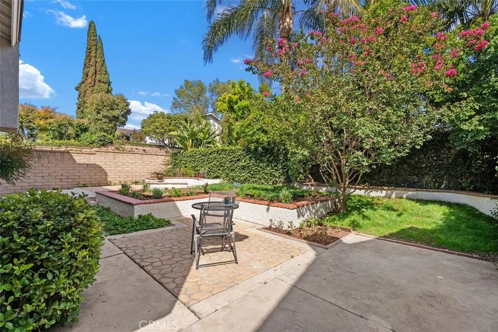 Extra-large backyard Extra-large backyard