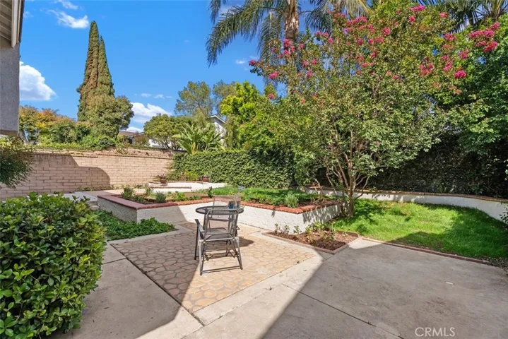 Extra-large backyard