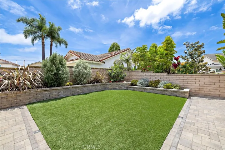 Rear Yard
