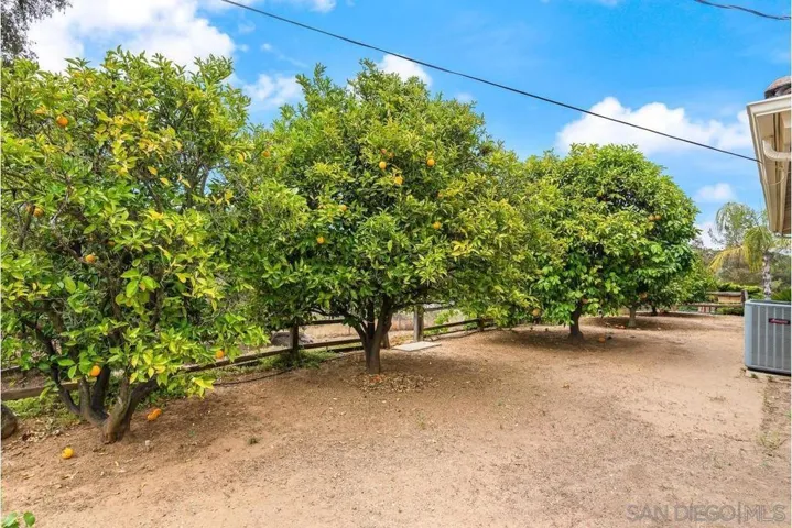 1421 Blue Lilac, Alpine, California 91901