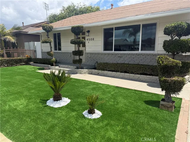 All New Turf in the front yard.
