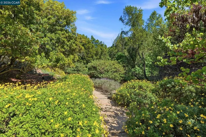 45 N Merrill Circle, Moraga, California 94556
