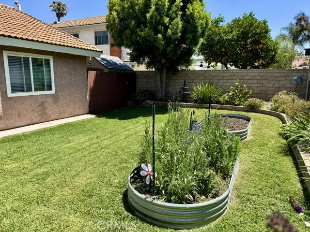 Gardening Boxes!