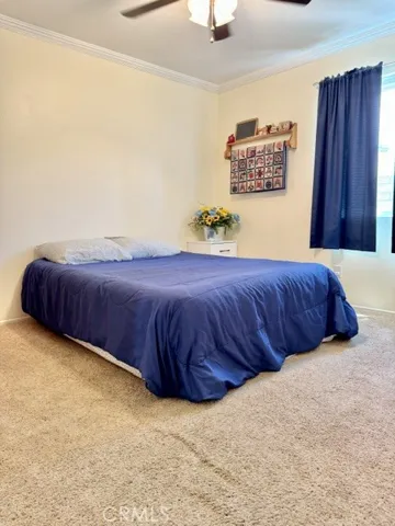 Ample Secondary Bedrooms with Large Windows....