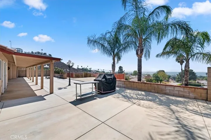 Patio BBQ Area