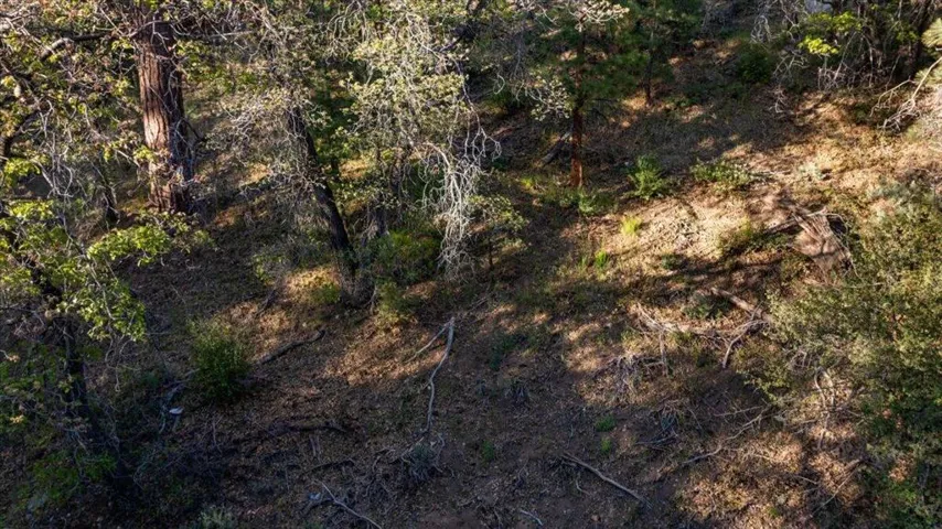7-DJI_20260515045011_0858_D